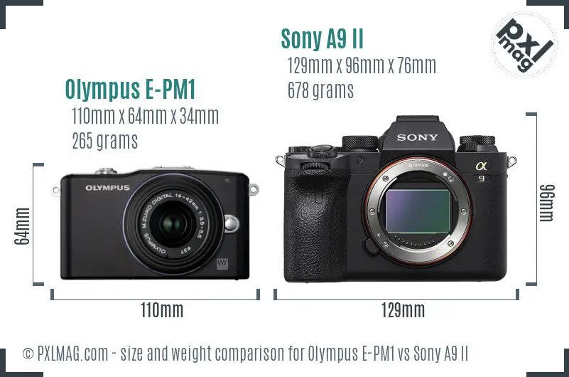 Olympus E-PM1 vs Sony A9 II size comparison