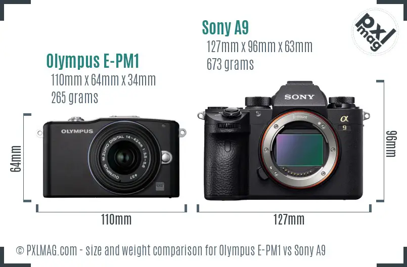 Olympus E-PM1 vs Sony A9 size comparison