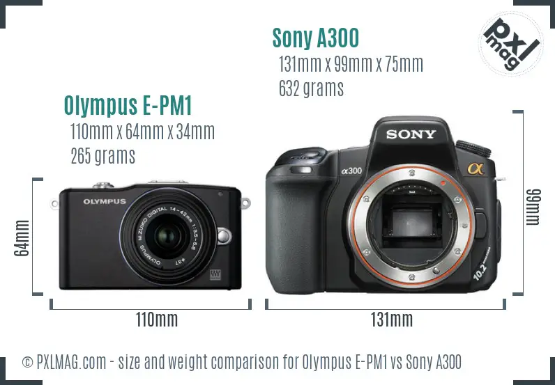 Olympus E-PM1 vs Sony A300 size comparison