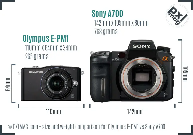 Olympus E-PM1 vs Sony A700 size comparison Olympus E-PM1 vs Sony A700 size comparison