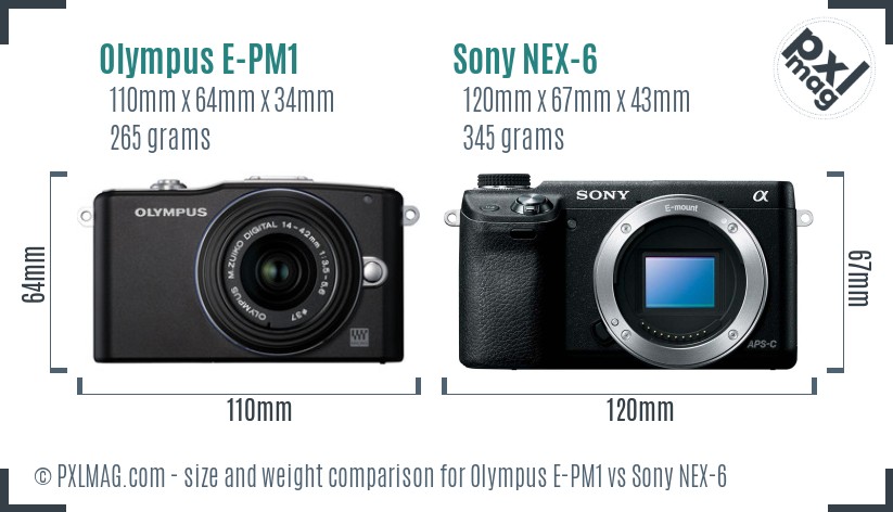 Olympus E-PM1 vs Sony NEX-6 size comparison