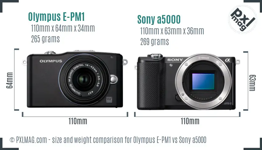 Olympus E-PM1 vs Sony a5000 size comparison