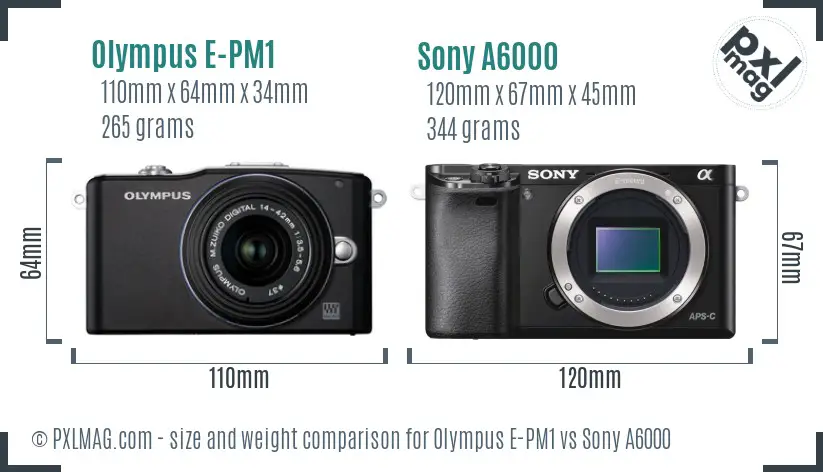 Olympus E-PM1 vs Sony A6000 size comparison