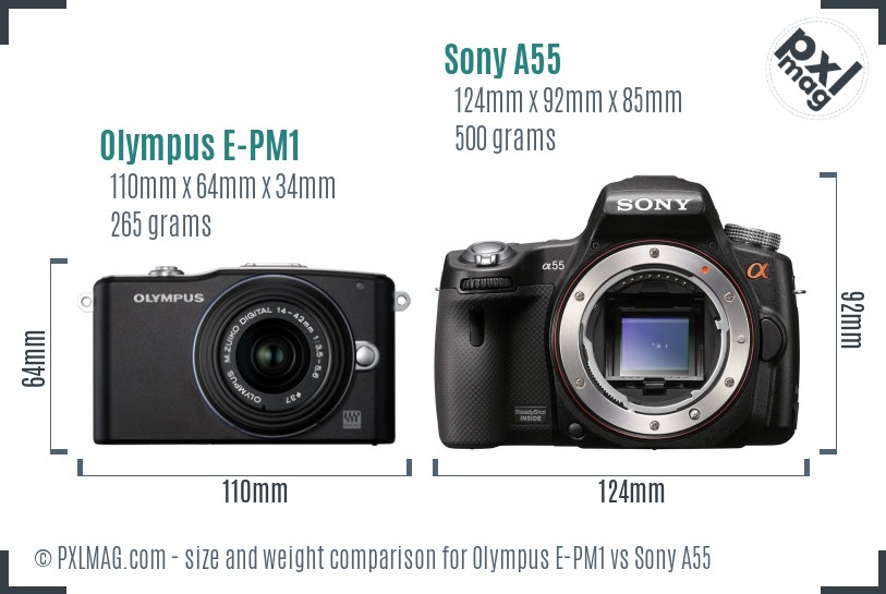 Olympus E-PM1 vs Sony A55 size comparison