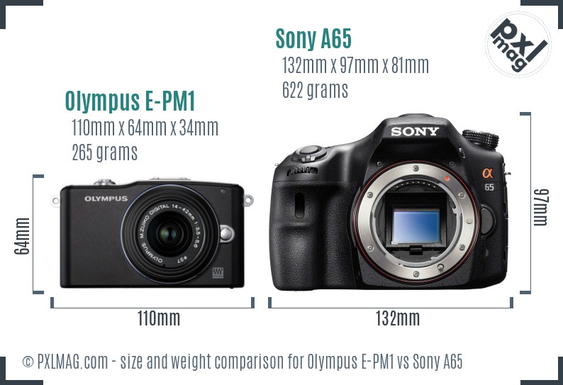 Olympus E-PM1 vs Sony A65 size comparison Olympus E-PM1 vs Sony A65 size comparison