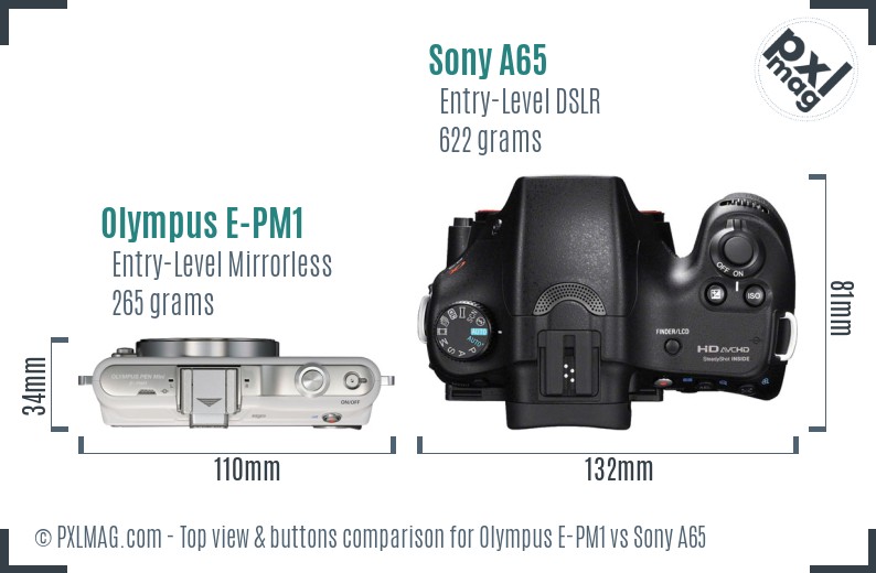 Olympus E-PM1 vs Sony A65 top view buttons comparison