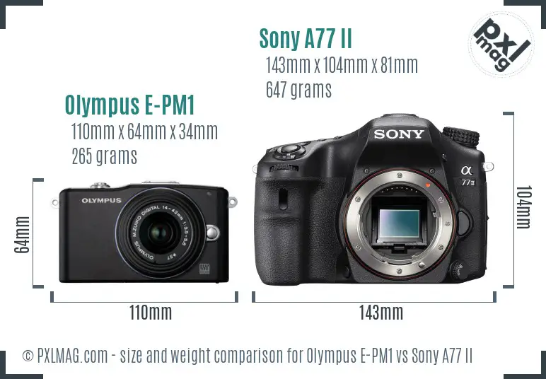 Olympus E-PM1 vs Sony A77 II size comparison