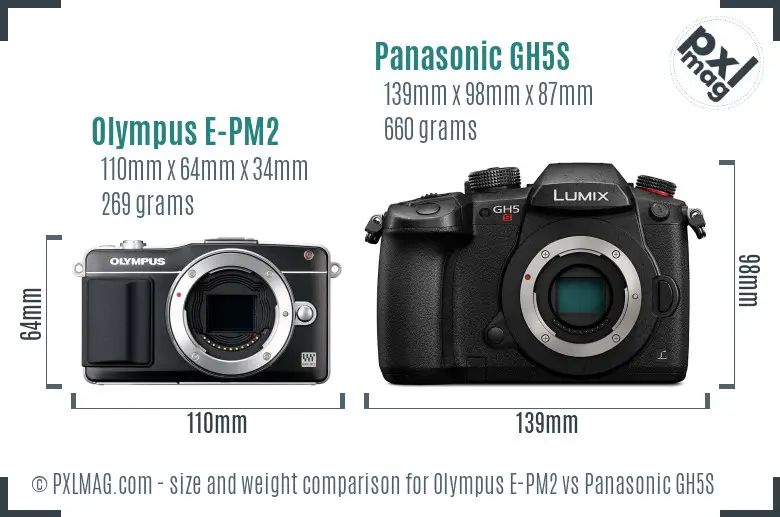 Olympus E-PM2 vs Panasonic GH5S size comparison