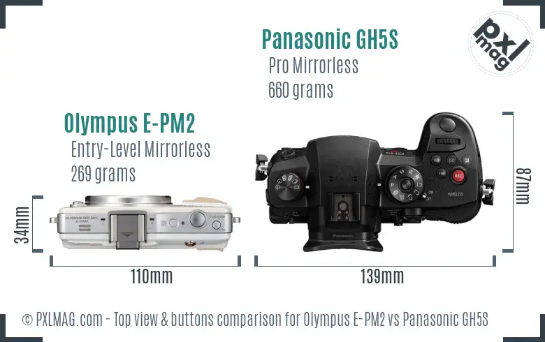 Olympus E-PM2 vs Panasonic GH5S top view buttons comparison