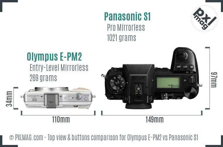 Olympus E-PM2 vs Panasonic S1 top view buttons comparison