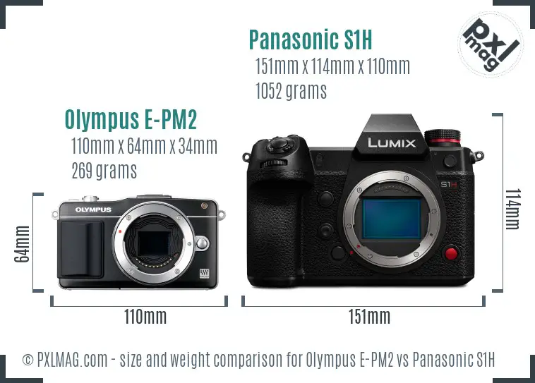 Olympus E-PM2 vs Panasonic S1H size comparison