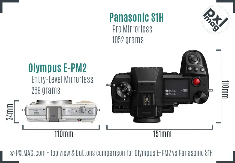 Olympus E-PM2 vs Panasonic S1H top view buttons comparison