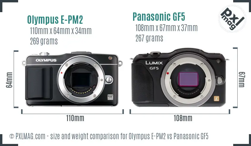 Olympus E-PM2 vs Panasonic GF5 size comparison