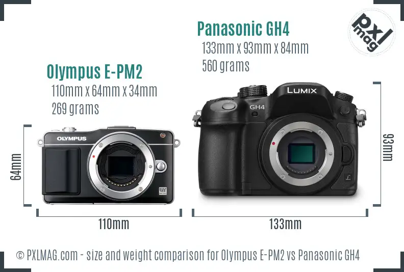 Olympus E-PM2 vs Panasonic GH4 size comparison
