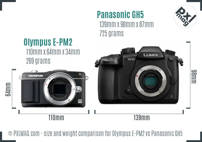 Olympus E-PM2 vs Panasonic GH5 size comparison