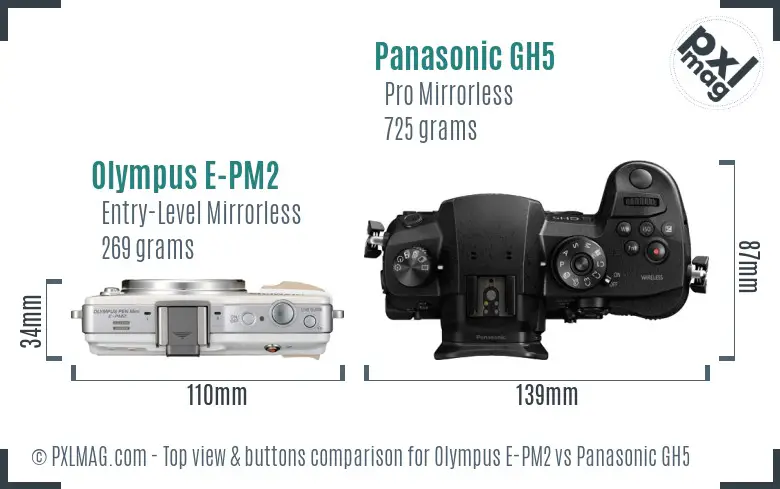 Olympus E-PM2 vs Panasonic GH5 top view buttons comparison