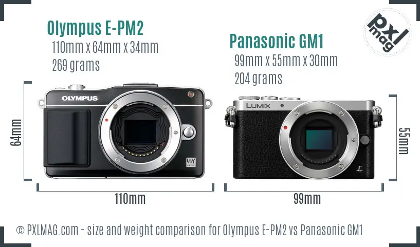 Olympus E-PM2 vs Panasonic GM1 size comparison