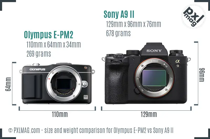 Olympus E-PM2 vs Sony A9 II size comparison Olympus E-PM2 vs Sony A9 II size comparison