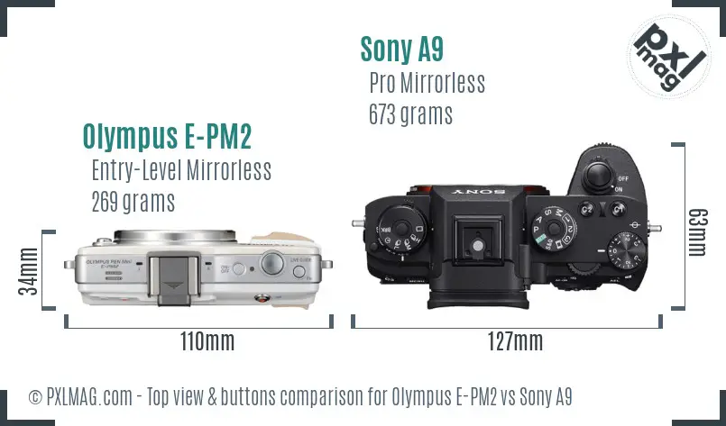 Olympus E-PM2 vs Sony A9 top view buttons comparison