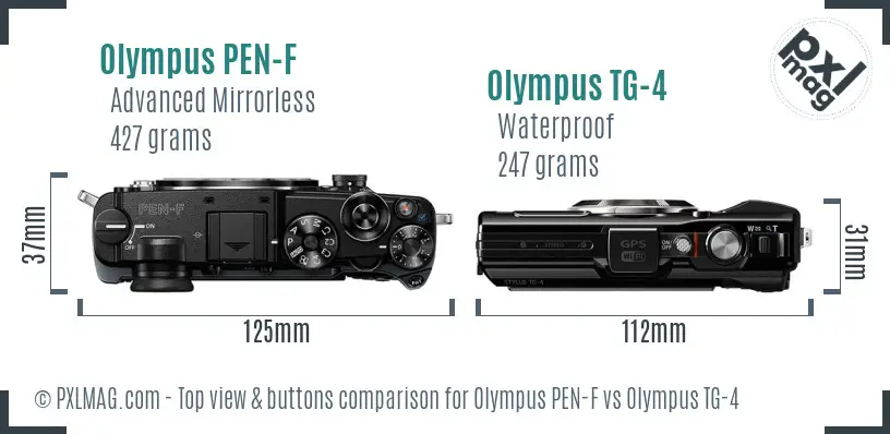 Olympus PEN-F vs Olympus TG-4 top view buttons comparison