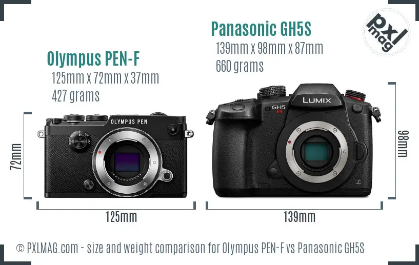 Olympus PEN-F vs Panasonic GH5S size comparison