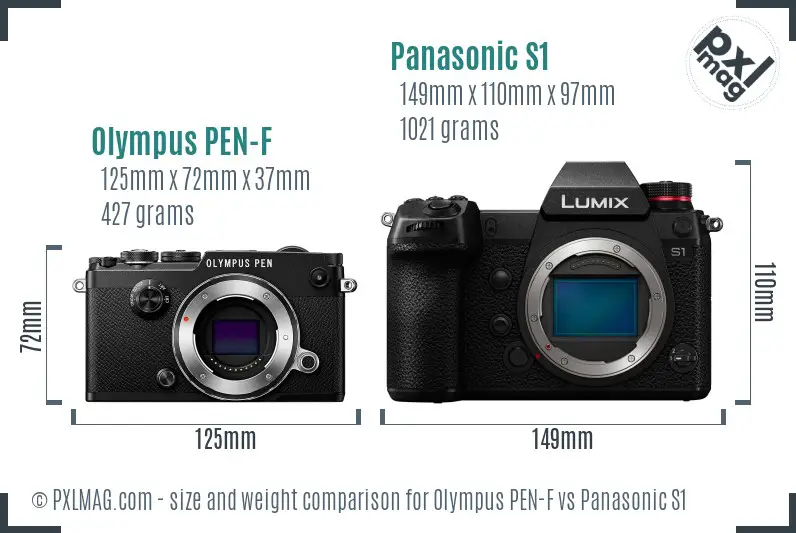 Olympus PEN-F vs Panasonic S1 size comparison