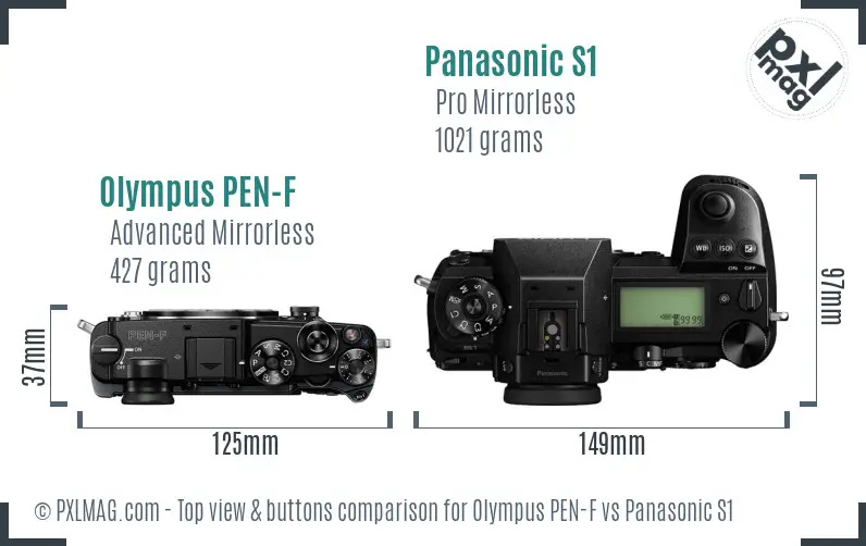 Olympus PEN-F vs Panasonic S1 top view buttons comparison