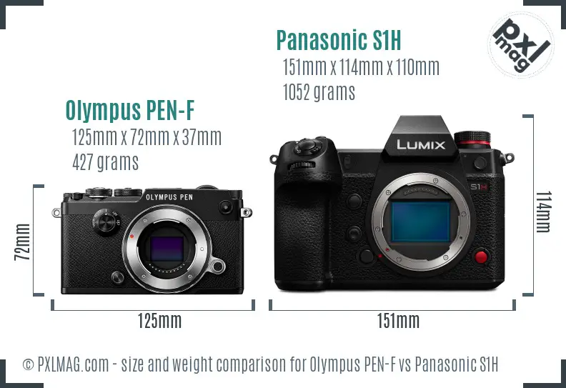 Olympus PEN-F vs Panasonic S1H size comparison
