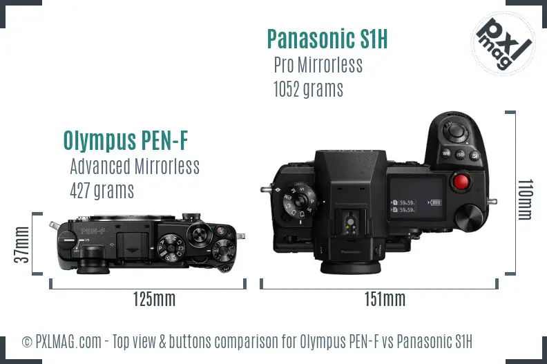 Olympus PEN-F vs Panasonic S1H top view buttons comparison