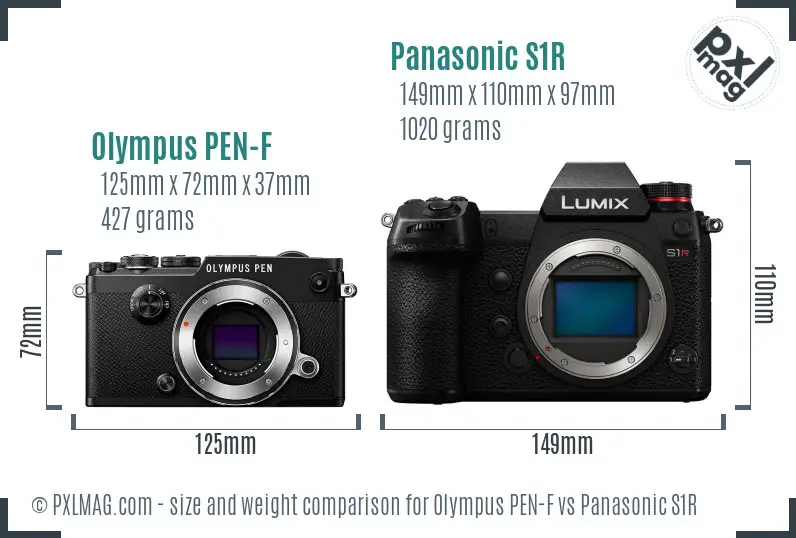 Olympus PEN-F vs Panasonic S1R size comparison