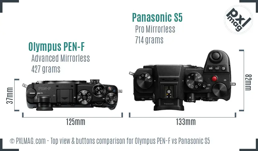Olympus PEN-F vs Panasonic S5 top view buttons comparison