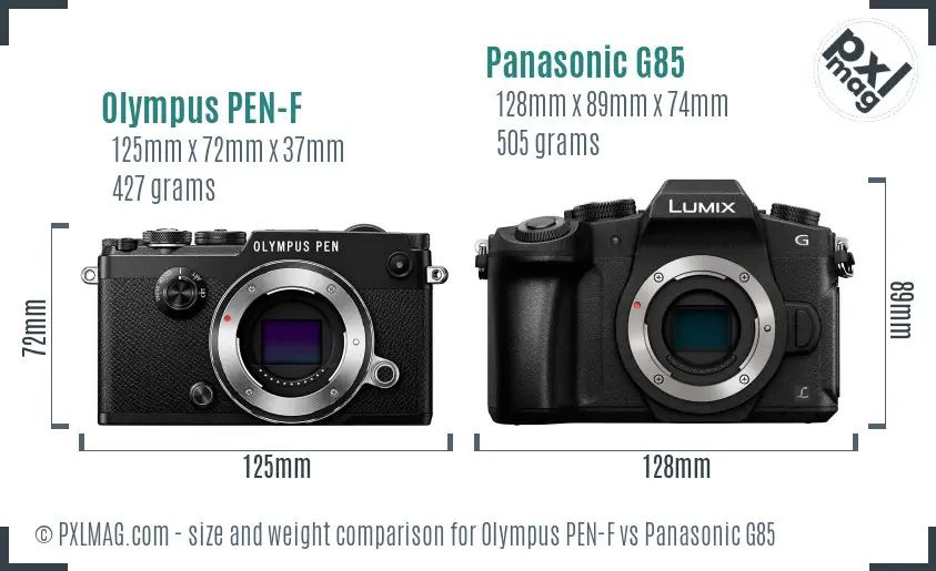 Olympus PEN-F vs Panasonic G85 size comparison