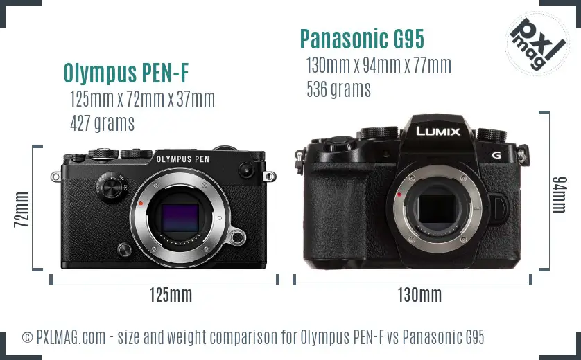 Olympus PEN-F vs Panasonic G95 size comparison