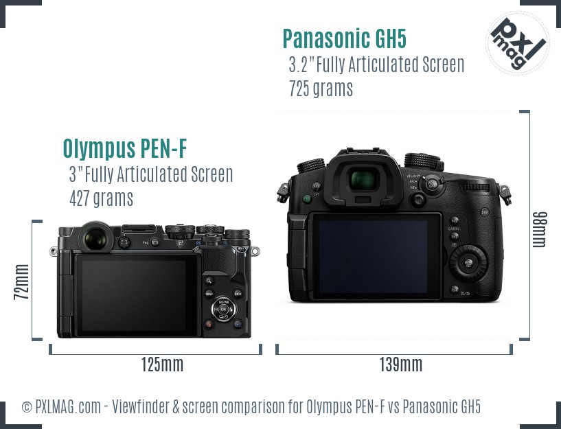 Olympus PEN-F vs Panasonic GH5 Screen and Viewfinder comparison