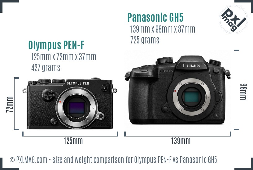 Olympus PEN-F vs Panasonic GH5 size comparison