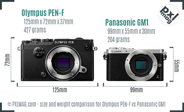 Olympus PEN-F vs Panasonic GM1 size comparison