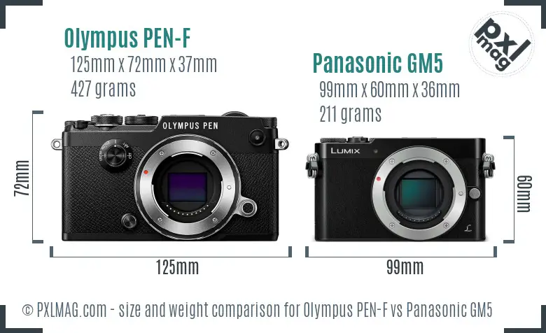 Olympus PEN-F vs Panasonic GM5 size comparison