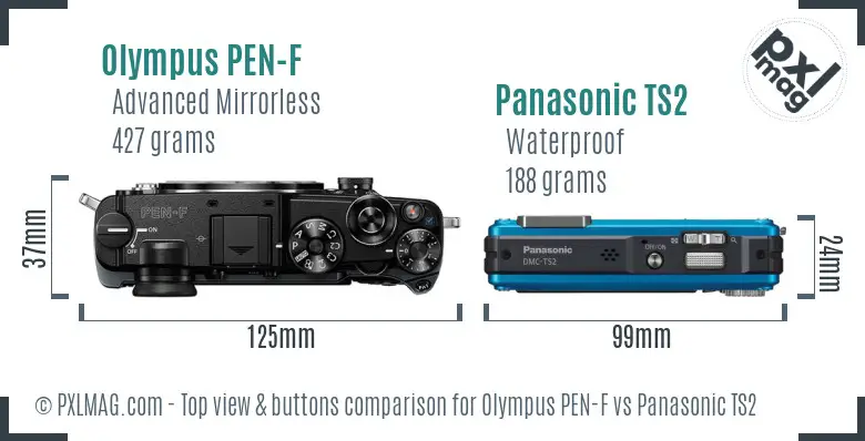Olympus PEN-F vs Panasonic TS2 top view buttons comparison