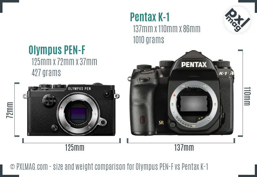 Olympus PEN-F vs Pentax K-1 size comparison