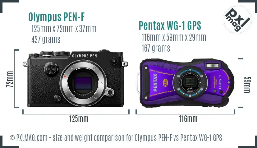 Olympus PEN-F vs Pentax WG-1 GPS size comparison
