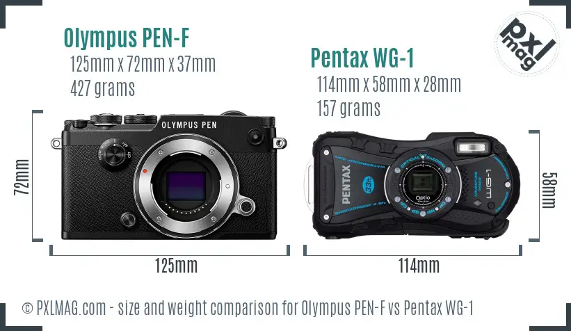 Olympus PEN-F vs Pentax WG-1 size comparison