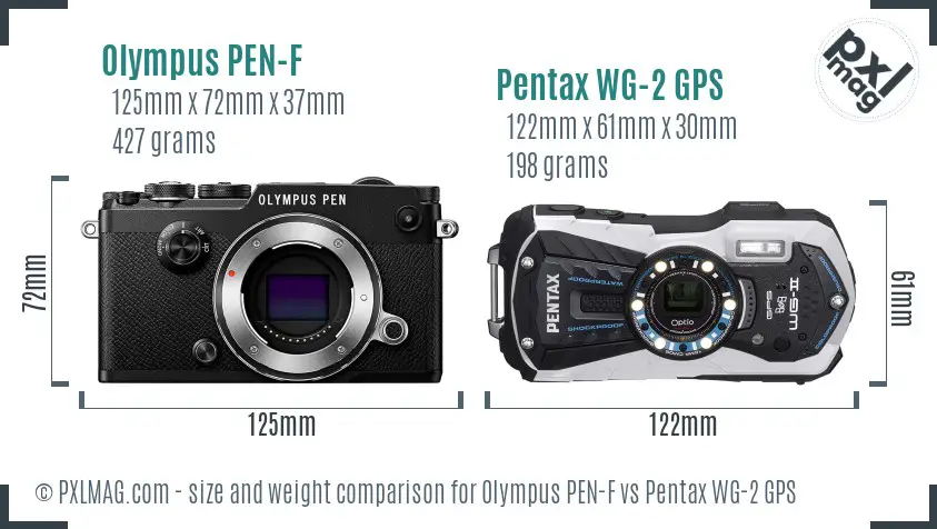 Olympus PEN-F vs Pentax WG-2 GPS size comparison