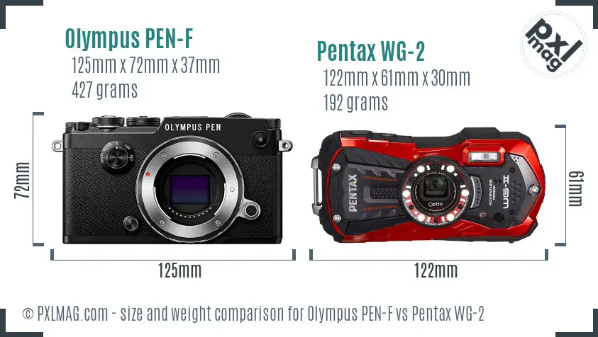Olympus PEN-F vs Pentax WG-2 size comparison