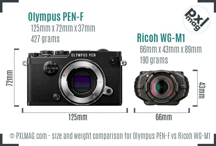 Olympus PEN-F vs Ricoh WG-M1 size comparison