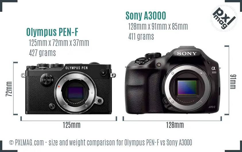 Olympus PEN-F vs Sony A3000 size comparison
