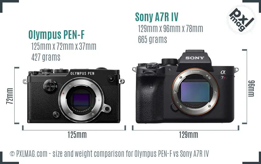 Olympus PEN-F vs Sony A7R IV size comparison Olympus PEN-F vs Sony A7R IV size comparison