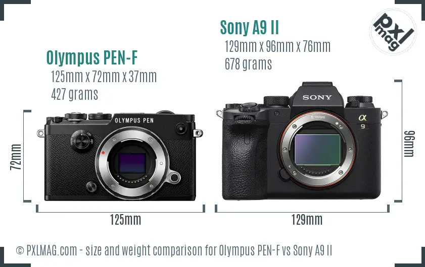 Olympus PEN-F vs Sony A9 II size comparison