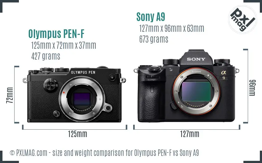 Olympus PEN-F vs Sony A9 size comparison