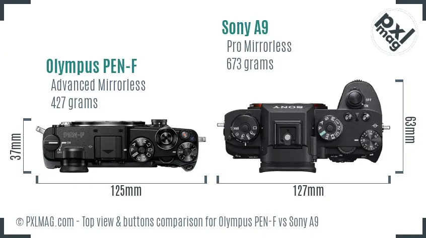 Olympus PEN-F vs Sony A9 top view buttons comparison