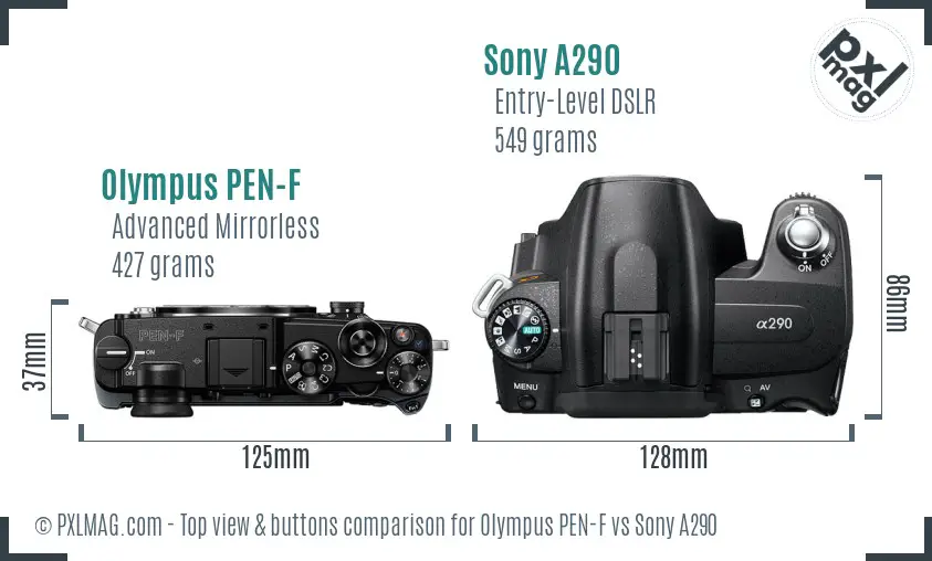 Olympus PEN-F vs Sony A290 top view buttons comparison